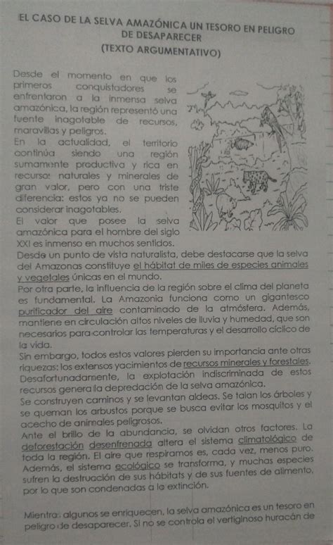 El Caso De La Selva Amazonica Un Tesoro En Peligro De Desaparecera