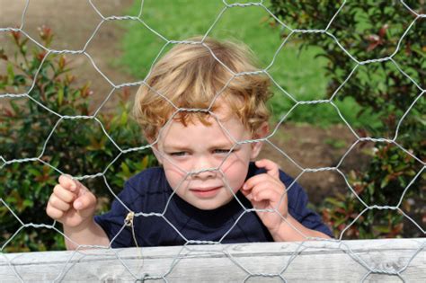 Safety Fence Stock Photo Download Image Now 18 23 Months Babies