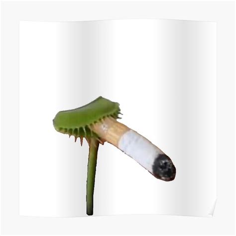 Venus Flytrap Smoking A Cigarette Poster For Sale By Christicaride