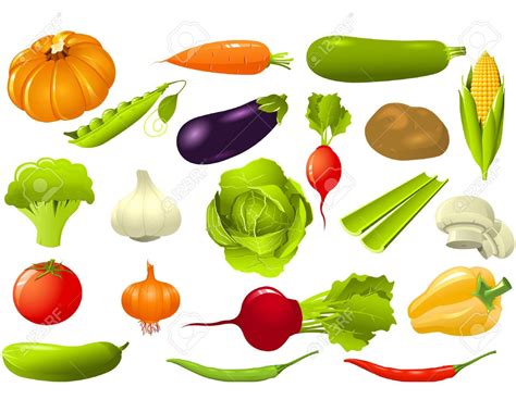 Conjunto De Verduras Ilustraciones Vectoriales Clip Art Vectorizado