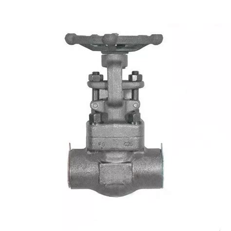 Solid Wedge Gate Valve Astm A182 F5 1 Inch 800 Lb Sw End Weldon