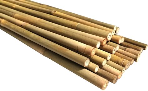 Dlh Western Natural Bamboo Poles Eco Friendly Plant Support Garden