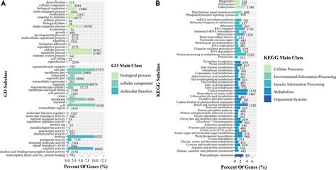 Frontiers Full Length Transcriptome Sequencing Analysis And