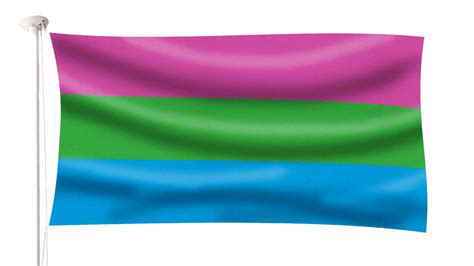 Polysexual Pride Flag Hampshire Flag Company