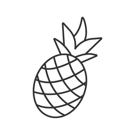 icône linéaire d ananas illustration de la ligne mince ananas