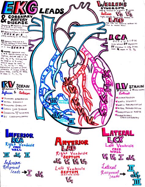 Help Me Pass Nursing School Ask Me Anything Cardiology Study