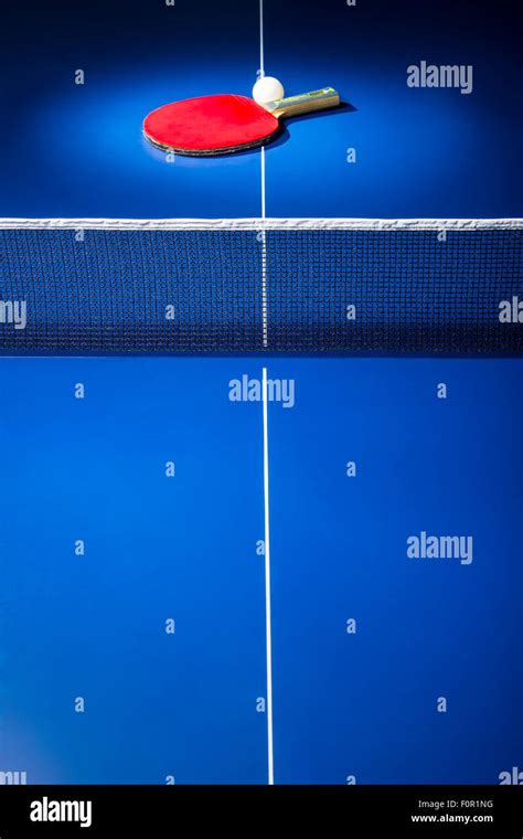 Table Tennis Paddle And Ball Displayed In The Spotlight On Blue Ping