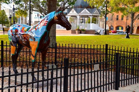 Ocala Historic Downtown Square Hanser Horse Farms