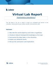 Stoichiometric Calculations B Lab Report Docx Virtual Lab Report