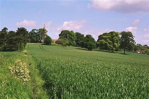 Kirkby In Ashfield Cornfield And Dave Bevis Geograph Britain