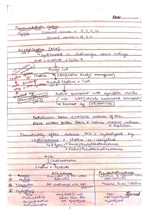 SOLUTION Autonomic Nervous System Pharmacology Studypool