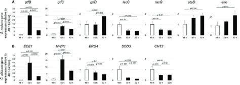 Dynamic Expression Of S Mutans And C Albicans Genes In Duo Species Download Scientific