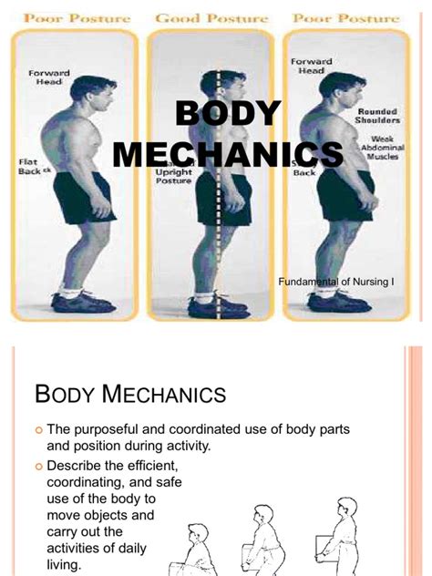 Body Mechanics Pdf