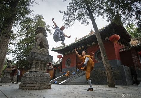 佳作赏析 冯浪：《少林寺功夫是这样练成的》 中国摄影家协会网