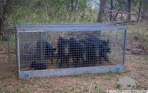 Collapsible Pig Trap Trackers Traps