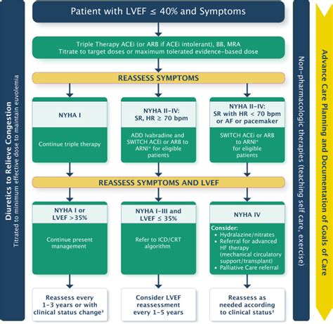 Comprehensive Update Of The Canadian Cardiovascular Society