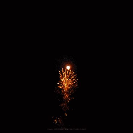 Free Animated Fireworks Gif