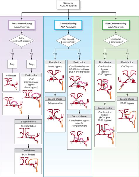 ACA Bypass Strategy | Neupsy Key