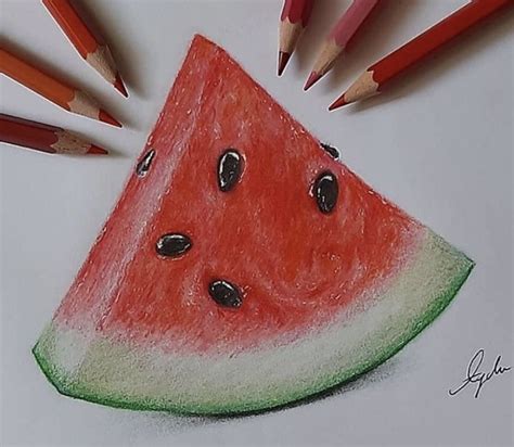 Fruit Art Drawings Pencil Drawings Of Flowers Realistic Pencil