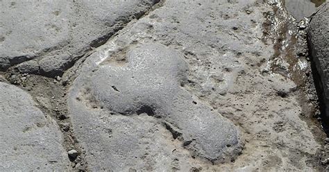 Pompeii Penis To Direct Men To The Nearest Brothel Imgur