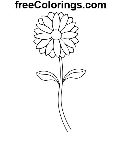 Line Art Daisy Blomst Gratis printbare farvelægningssider