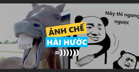 Top 14 ảnh Chế Anime Meme Hay Nhất 2022 Eu Vietnam Business Network