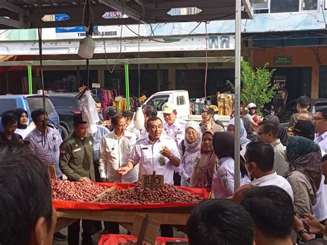 Deputi Kerawanan Pangan Dan Gizi Harap Warga Jambi Manfaatkan Pekarangan Untuk Membudidayakan