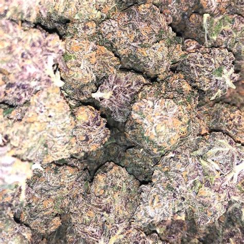 Purple Kush Cannabis Review | PK Weed Strain