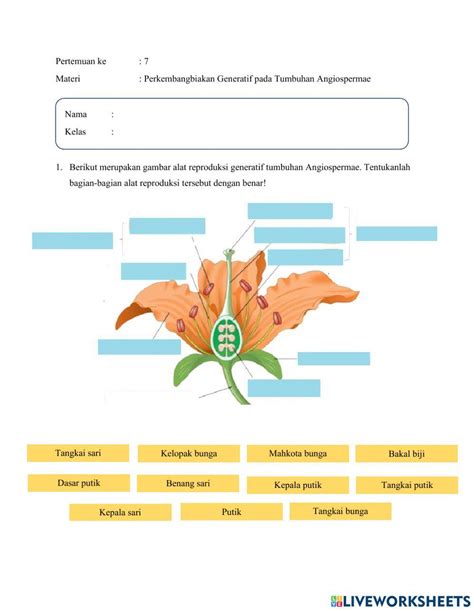 Pertemuan 7 Perkembangbiakan Generatif Pada Tumbuhan Angiospermae