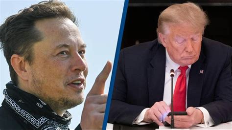 Elon Musk Reinstates Donald Trumps Twitter Account After Being Barred