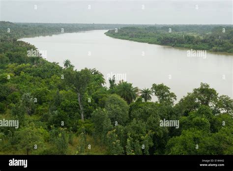 View over the Gambia River in River Gambia National Park, the Gambia Stock Photo - Alamy