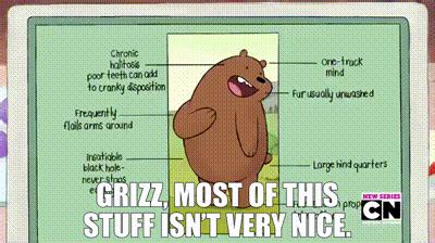 YARN Panda Grizz Most Of This Stuff Isn T Very Nice We Bare