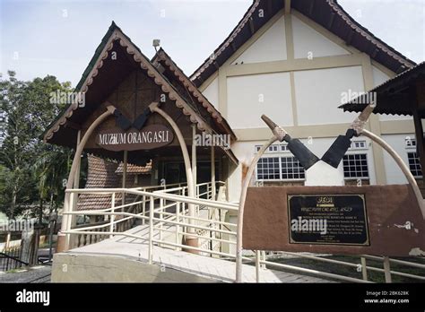 Kampung Orang Asli Gombak Jason Jones