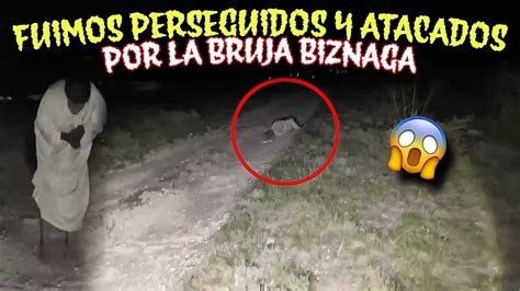 BRUJA DE LA BIZNAGA NOS ATACA CONVERTIDA EN GUAJOLOTE YouTube