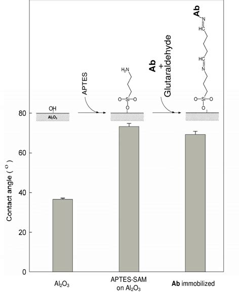 schematic design   deposition  aptes sams  ab