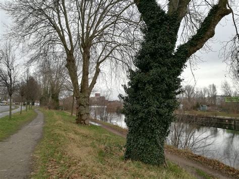 La ceinture verte de Strasbourg quelles pistes pour la préserver et