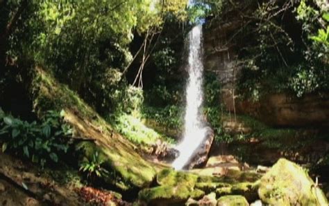 Rede Globo Redeamazonica Amazonas Tv Visita Parque Galo Da Serra Em