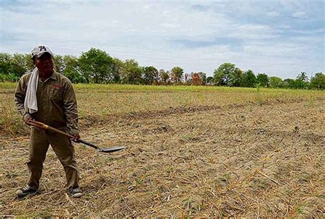 MÁs De 65 Mil Agricultores Del Alto Piura Sufren Escasez De Agua Para