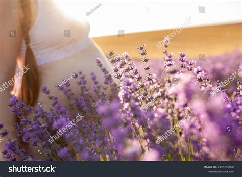 Naked Female Pregnant Belly Against Background Stock Photo Shutterstock
