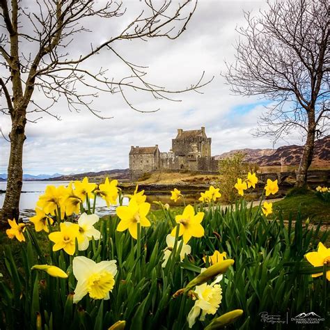 Colorful Spring Blooms Eilean Donan Castle Scotland Scotland