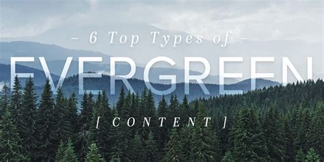 Go Green What Evergreen Content Is And How To Produce It