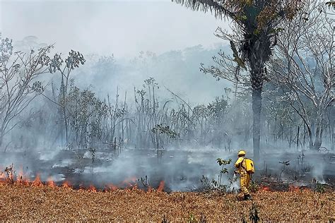 La Fiscalía Investiga A 14 Personas Por Incendios En Santa Cruz Jornada