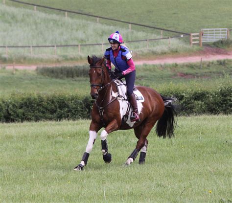 Top Tips For Riding A Cross Country Course Equerry Horsefeed