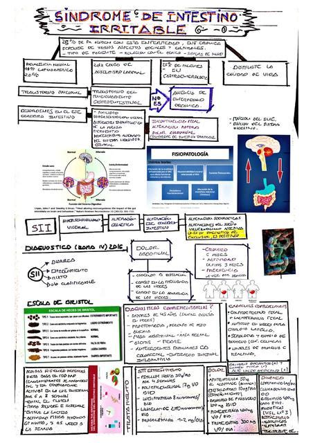 Resúmenes De Síndrome Del Intestino Irritable Descarga Apuntes De