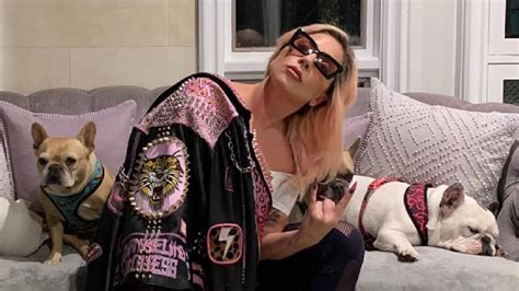 Lady Gaga Sujeto Que Robó Los Perros De La Cantante Fue Sentenciado A 21 Años De Prisión Rpp