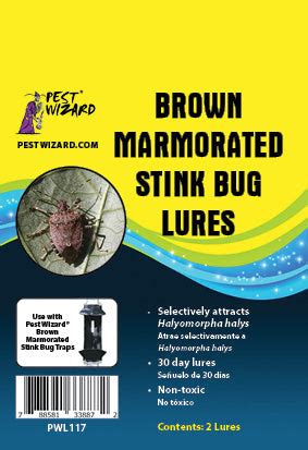 Brown Marmorated Stink Bug