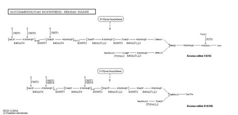 Map00533 Html 29 Sep 2021 01 58 10K Map00533 Png 29 Sep 2021 01 58 12K