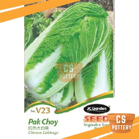 CS POTTERY V23 CHINESE CABBAGE HEAT RESIST JC GARDEN VEGETABEL SEED