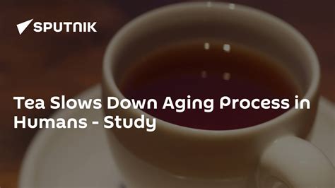 Tea Slows Down Aging Process In Humans Study