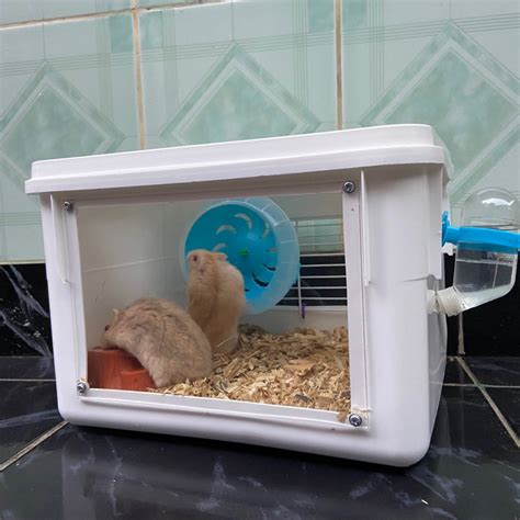 Jual Kandang Hamster Landak Mini Gerbil Marmut Reptil Box